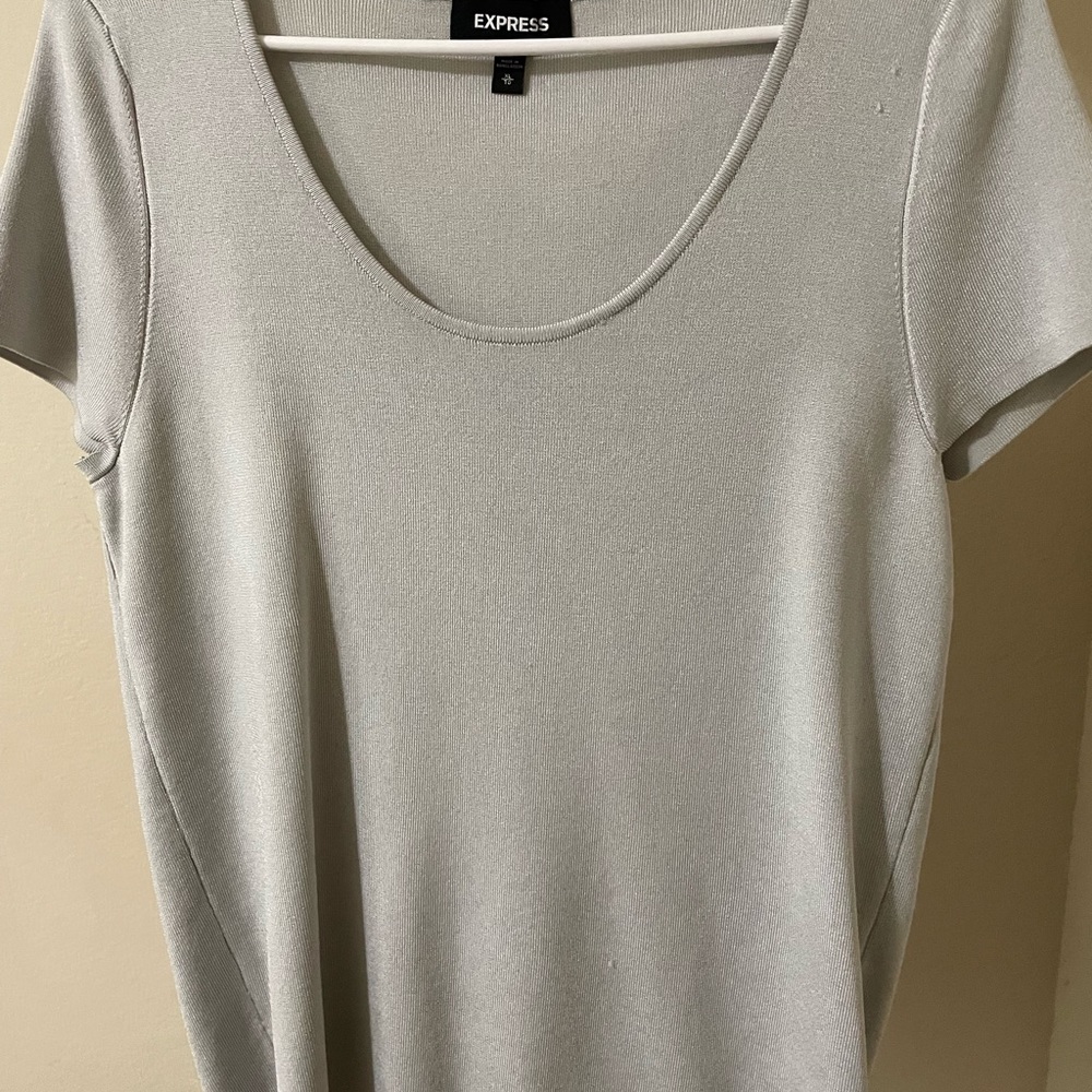 Express Shimmer Top